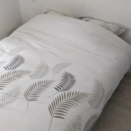 Holiday home Maison Jean-moulin, Jardin, Spacieuse, 24h Mans, Zoo, Prytanee, 3 Chbres, 6 Pers *