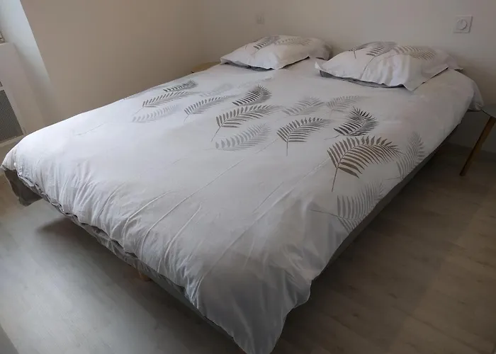 בית נופש Maison Jean-moulin, Jardin, Spacieuse, 24h Mans, Zoo, Prytanee, 3 Chbres, 6 Pers