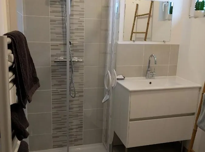 Maison Jean-moulin, Jardin, Spacieuse, 24h Mans, Zoo, Prytanee, 3 Chbres, 6 Pers *