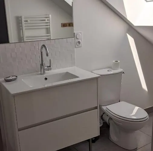 בית נופש Maison Jean-moulin, Jardin, Spacieuse, 24h Mans, Zoo, Prytanee, 3 Chbres, 6 Pers La Flèche