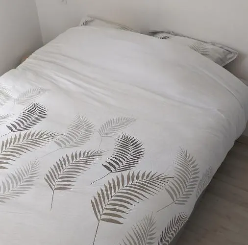 בית נופש Maison Jean-moulin, Jardin, Spacieuse, 24h Mans, Zoo, Prytanee, 3 Chbres, 6 Pers *